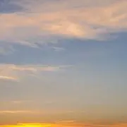 ayuの画像