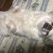 たかっち