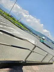 ねこさまの画像