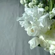 nna【プロフ必読】の画像
