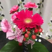 せとっち