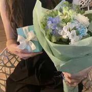 きのこの画像