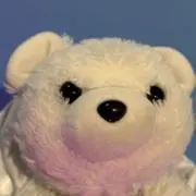 だてめ