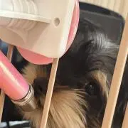 raraの画像