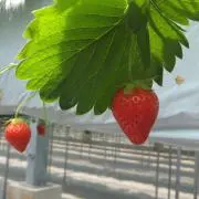 may28の画像