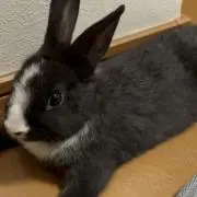 京のまーちゃん【プロフ必読】の画像