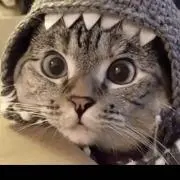 ゲルモ