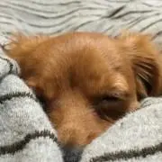 みよ