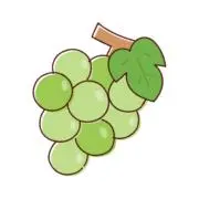 マスカットの画像