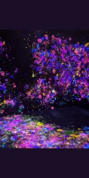 ふうきいの画像