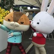 babu_chanの画像