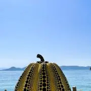 なみへいの画像