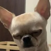 hiroの画像