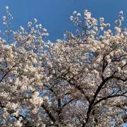 hamahiroの画像