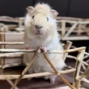 i am youの画像