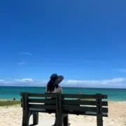 ノアの画像