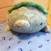 アヤぽん