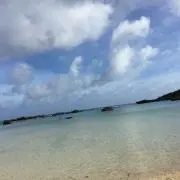 riiyu♡の画像