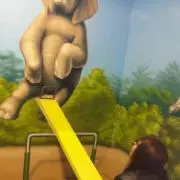 ミズキの画像
