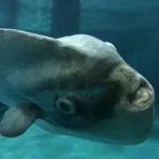～17日以降に発送します～(値引き可能)の画像