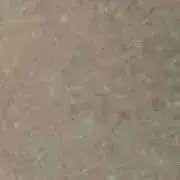 なゆの画像