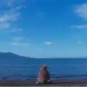 rainboWの画像