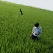 いんきゃの画像