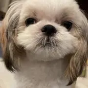 みんきち