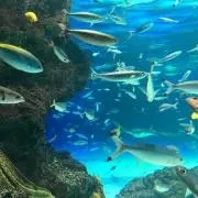 まりる※プロフ必読の画像