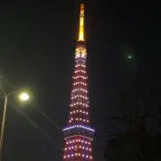 chiharuの画像