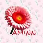 aminn♡フォロワー引き