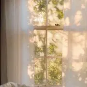RiRiの画像