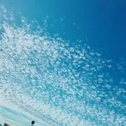 ぴーの画像