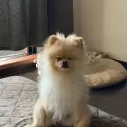じゅの画像