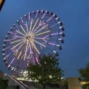 りんご
