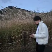 マサキの画像