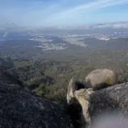 1009の画像