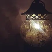 ma-ayaの画像