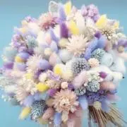 みうの画像
