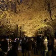 すべんの画像