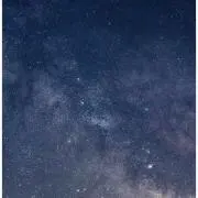 moniの画像