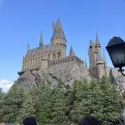 めりーの画像