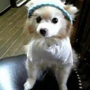 ポン(割引方法はプロフィール)の画像