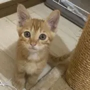 i&.の画像