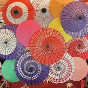 nicoの画像