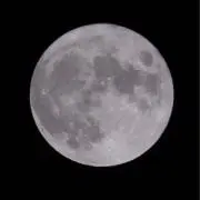 Boochanの画像