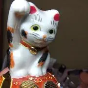 とわの画像