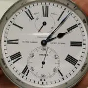 りゅんりゅんの画像