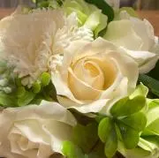 くるみんずの画像