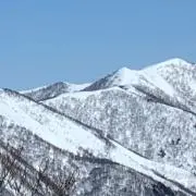 nature loverの画像